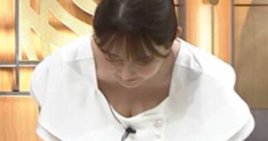 森山みなみアナ、おっぱいの谷間が見えた！エロくてたまらんｗｗｗｗｗ【GIF動画】